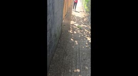 Child runs from iguana on path in Puerto Rico