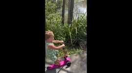 Child falls into bushes while riding scooter in Mount Cotton
