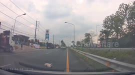 Rescued dog saved from road in Chanthaburi, Thailand