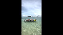 Pet dogs ride stand-up paddleboard on crystal clear Thai beach