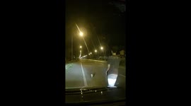 Hero driver rescues injured owl and nurses her back to health