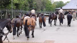 The King’s Troop, Royal Horse Artillery is rehearsing for a busy summer of ceremonial activity. The unit is one of the most senior regiments in the British Army and they will have a high-profile role in the VE Day 80 military procession on 5 May.
