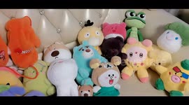 Stray cat steals plush toys every night and delivers them to woman who once rescued it