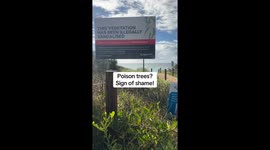Council shames tree vandals with sign after illegal vegetation damage