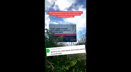 Viral public reaction to illegal tree clearing on Sunshine Coast