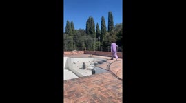 Pup Prepares To Swim In Empty Pool