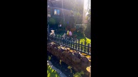 house with Easter decorations