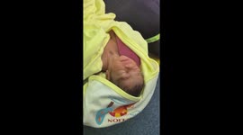 Newborn baby abandoned on a pickup truck is saved by villagers