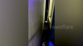 Rescue team saves dog trapped between walls