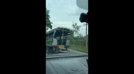 Curious elephant checks out passing cars in Thailand