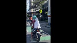 Pet dog in a dress rides on the back of motorcycle