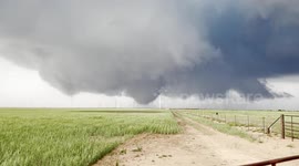 That moment before a tornado plants