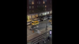 Crowd sings and marches at Lorde concert in New York