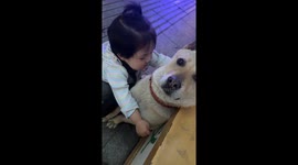 Baby plays with dog in Guangdong, China
