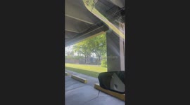 When the Foliage Decide It's Time to Leave