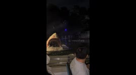 “Shark Encounter Thrills Visitors at Universal Studios Japan”