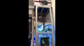 Turtle tries to catch cat’s tail from aquarium tank in Beijing