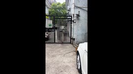 Cat slides under rotating gate moving in opposite direction in Shanghai