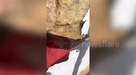 Woman found BONES in the walls while renovating 16th century farmhouse