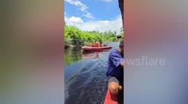 Grandfather, 70, killed by crocodile while dumping freshly-cut grass in river