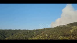 South Korea: Over 1,200 Evacuated as Massive Wildfire Rages in Daegu 2