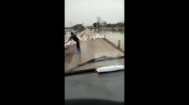 A woman helps a truck driver pass a flock of ducks on the road
