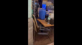 Rat seen running through restaurant in the Philippines