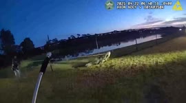 Alligator Expelled from Florida High School, Relocated to Wild Life