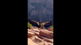 Zion California Condor Wingspan