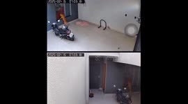 Remarkable moment dog opens garage door by pressing remote