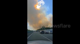South Korea: Over 1,200 Evacuated as Massive Wildfire Rages in Daegu 4