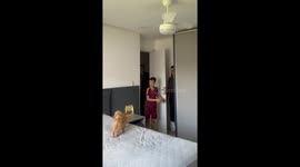 Family surprises son with new puppy in Rio de Janeiro