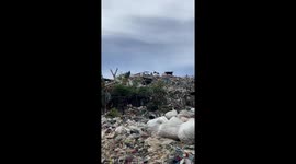 Feral locals living in mountain of trash at landfill site shocks visitor