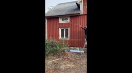 Swedish family finds snake living under window