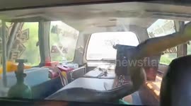 Terrifying king cobra escapes from crate and glares through car window at captors