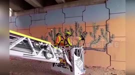 Firemen rescue goat trapped on bridge beams in Spain