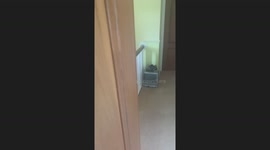 Prank went wrong: Girl’s scream upsets friend already in crisis mode