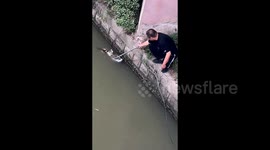 Man uses mop to rescue exhausted cat struggling in river in China