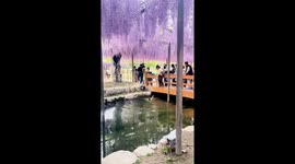 Woman heroically jumps into the water to rescue a drowning child