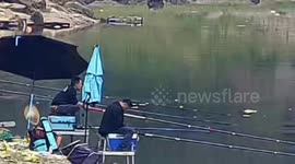 Angler falls asleep and drops into fishing lake