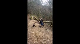 Husband Can't Resist Rope Swing
