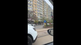 Horse Runs Loose In Bucharest