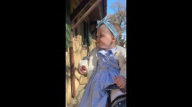 Baby’s priceless first horse encounter has everyone smiling