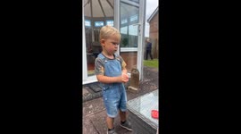 Dinosaur Joke by a 3-Year-Old Comedian