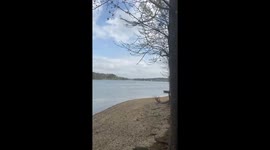 Georgia Pollen Update
