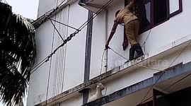 Goat gets stuck in sunshade of apartment building, rescued in dramatic operation