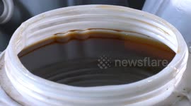 China: China's honey exports abuzz on rising global demand