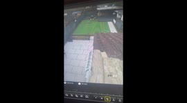 Man's rainy-day garden clean-up takes a comical turn, perfectly captured on camera