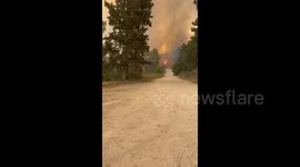 Israel: Continue to deal with several fires that broke out in the Sheflat Yehuda area near Jerusalem