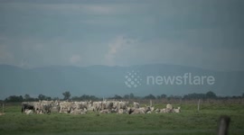Slovakia: Avescentrum Senne offers unique birdwatching experience in eastern Slovakia